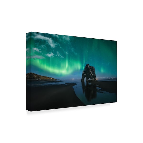 Javier De La Torre 'Under The Northern Lights' Canvas Art,22x32